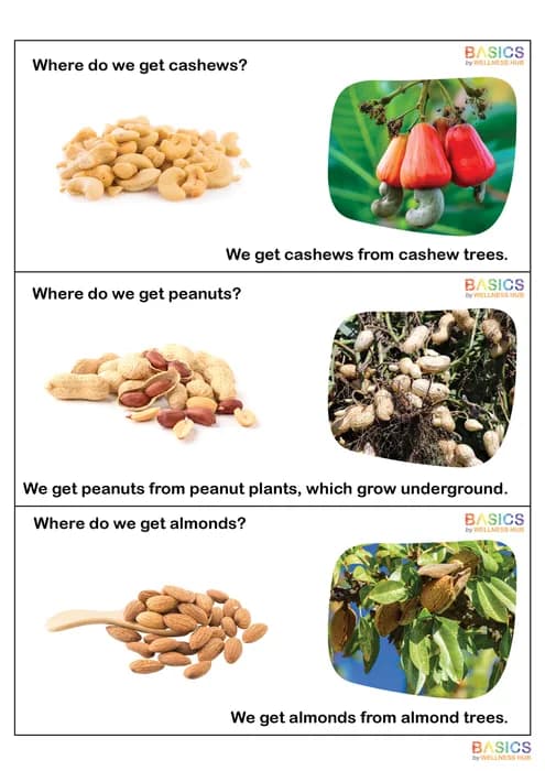 Where - Food and Its Origin: Illustrated Worksheet for Kids-PDF2