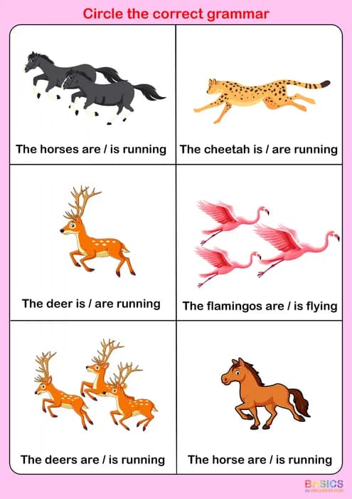 Circle the Correct Grammar – Singular & Plural Animals & Objects-PDF2