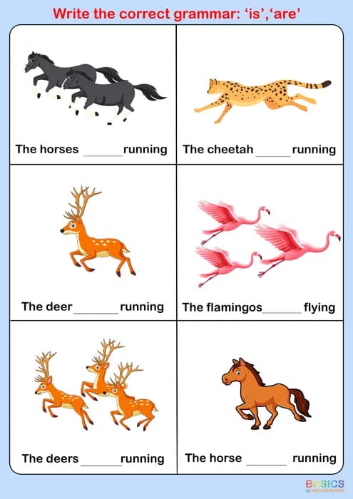 Write the Correct Grammar: Is / Are – Singular & Plural Practice-PDF2