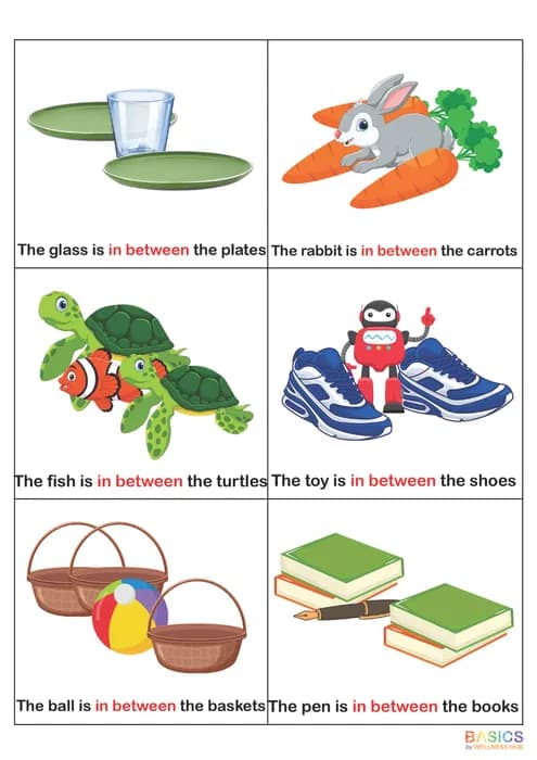 In Between – Learn Object Position with Illustrated Examples-PDF2