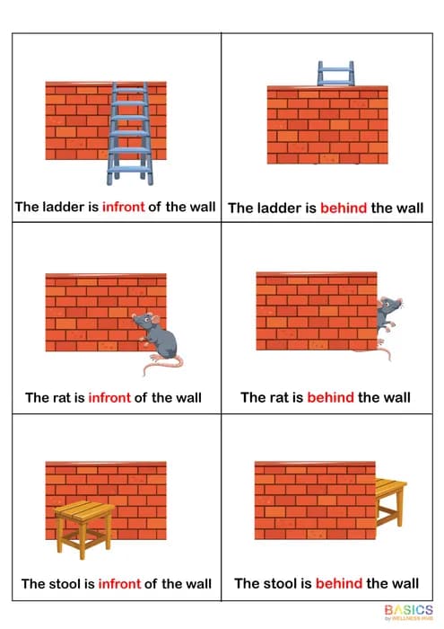 In Front & Behind – Learn Object Position with Visual Examples-PDF2