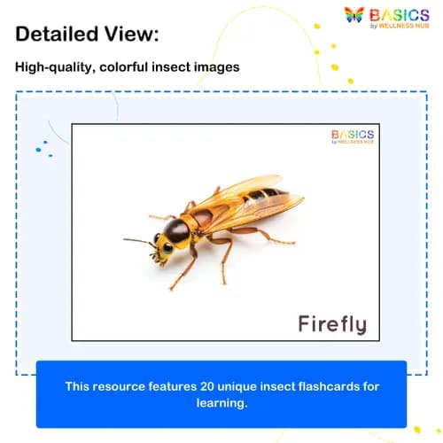 Insects Flashcards for Kids – Free Printable PDF preview 2