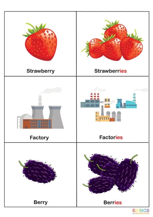 PLURALS – “IES” – Learn Plural Nouns Ending with “-ies” Through Pictures-PDF2