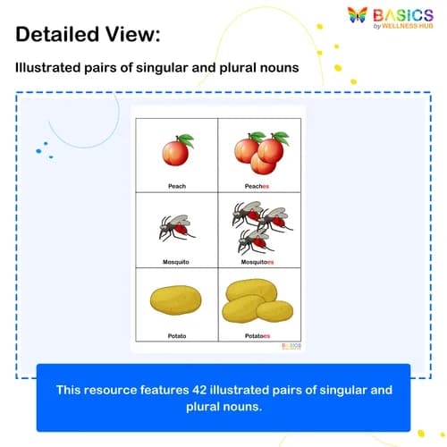 PLURALS – “ES” – Learn Plural Nouns Through Pictures preview 2