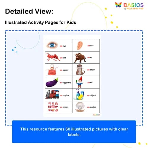 Usage of Article 'An' – Learn and Use 'An' with Pictures
