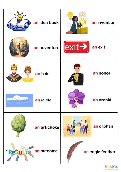 Usage of Article 'An' – Learn and Use 'An' with Pictures-PDF2