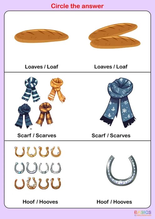 Circle the Correct Answer: Singular or Plural – Printable PDF Activity-PDF2