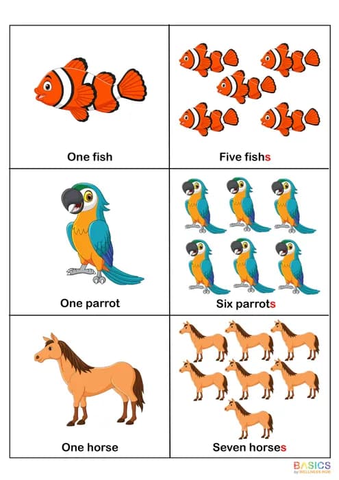 PLURALS – “S” – Learn Regular Plural Nouns with Pictures-PDF2