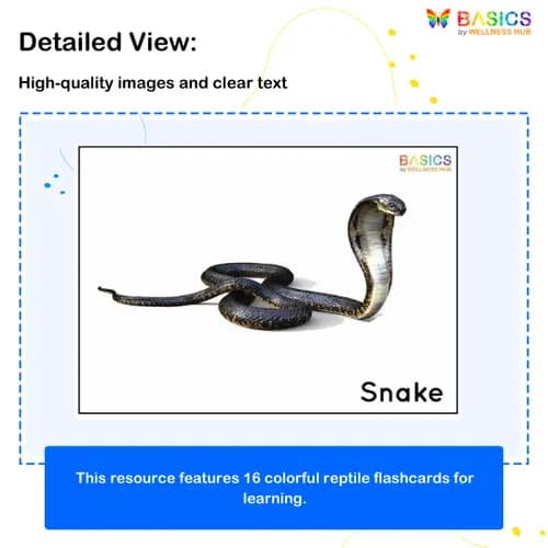 Reptiles Flashcards for Kids – Free Printable PDF preview 2