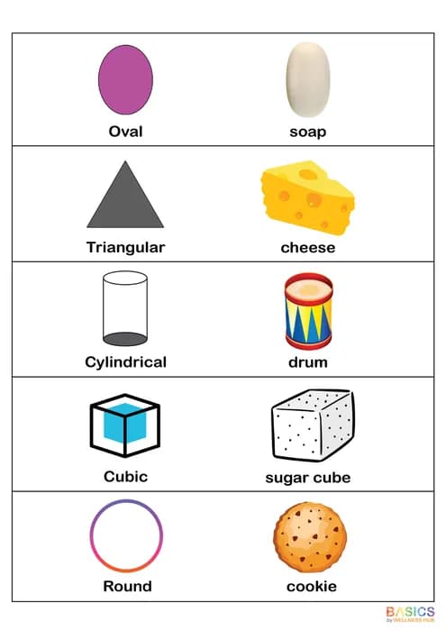 Shapes & Objects: Illustrated Worksheet Set for Kids-PDF2