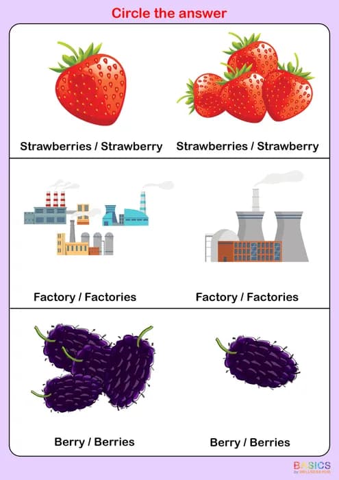 IES – Singular and Plural Worksheets for Kids: Circle, Match, and Fill Activities-PDF2