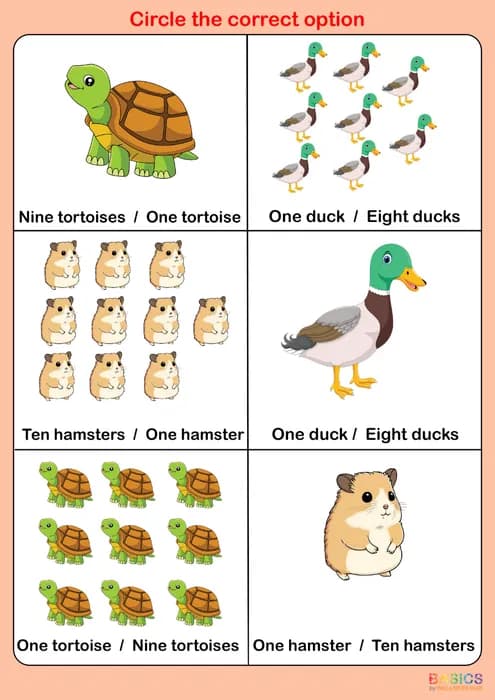 Circle the Correct Singular / Plural – Illustrated Worksheet Set-PDF2