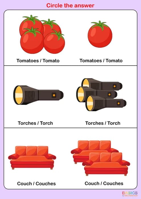 Circle the Correct Answer: Singular or Plural – Printable PDF for Kids-PDF2