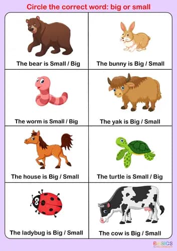 Big and Small Activity Book: Understanding Size Concepts for Kids-PDF2