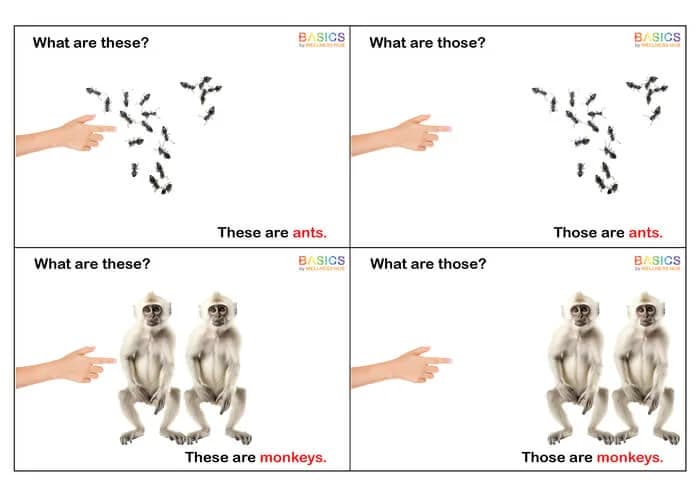 What Are These and Those? WH Questions – Animals (Printable PDF)-PDF2