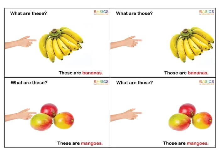 What Are These and Those? WH Questions – Fruits (Printable PDF)-PDF2