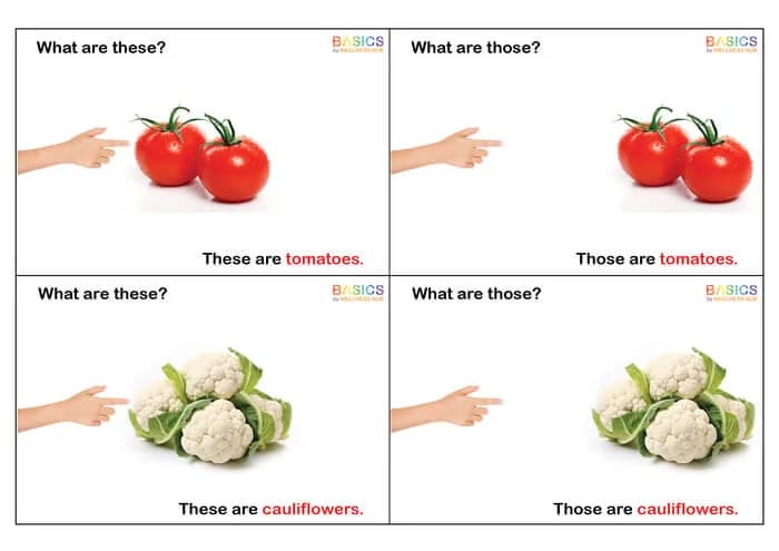 What Are These and Those? WH Questions – Vegetables (Free Printable PDF)-PDF2