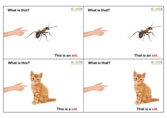 What is This and What is That? - Animals Learning PDF for Kids WH-PDF2