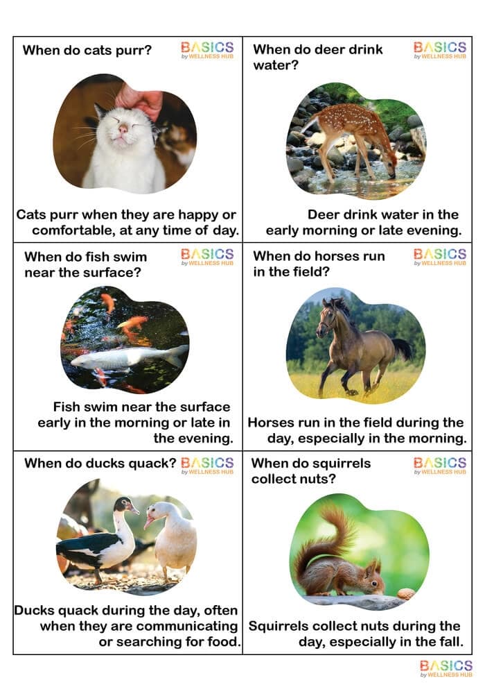 When Questions Flashcards – Nature and Environment for Kids (Printable PDF)-PDF2