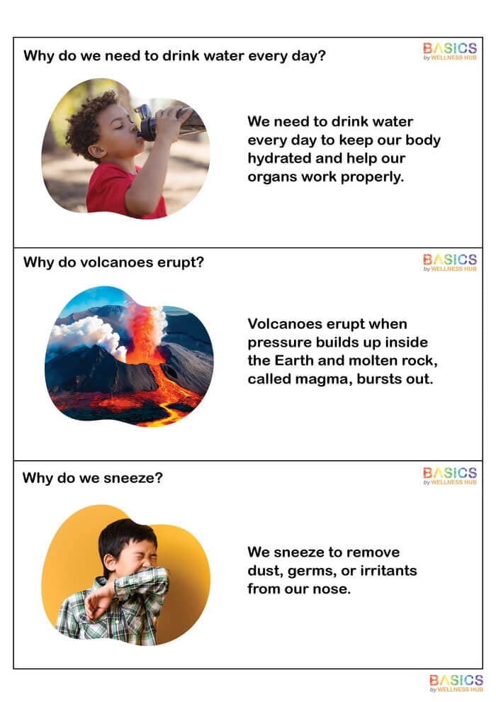 Why Questions Flashcards – Problem-Solving & Critical Thinking for Kids-PDF2