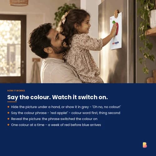 Colour Words: Red, Blue, Green & Yellow — 60 Printable Colour Phrase Flashcards for Early Talkers – page 3 preview