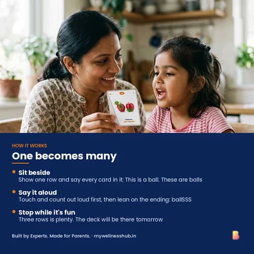 One Becomes Many Cards — 116 Printable Singular and Plural Picture Flashcards in 44 Sets – page 3 preview