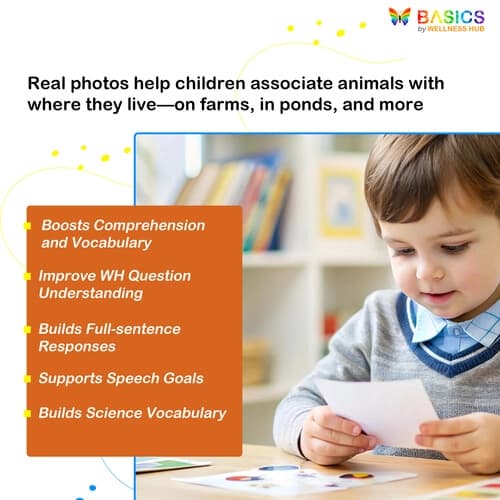 Where Questions in Nature – Printable Flashcards on Animals & Habitats