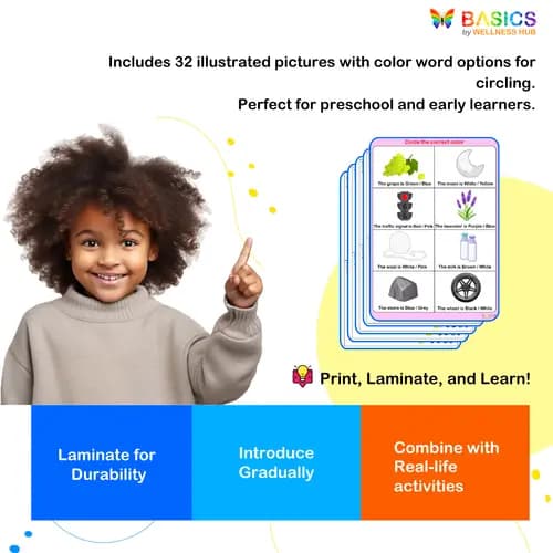 Color Recognition Activities: Printable PDF for Early Learners preview 4
