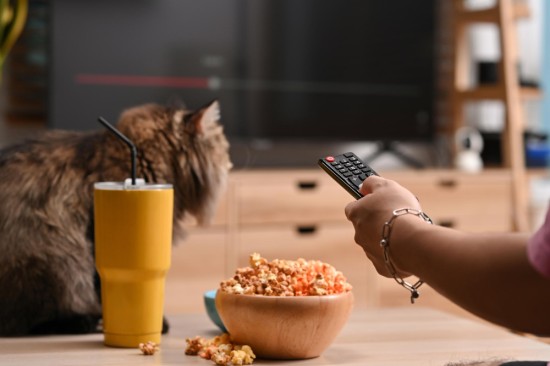 Eating popcorn while watching TV