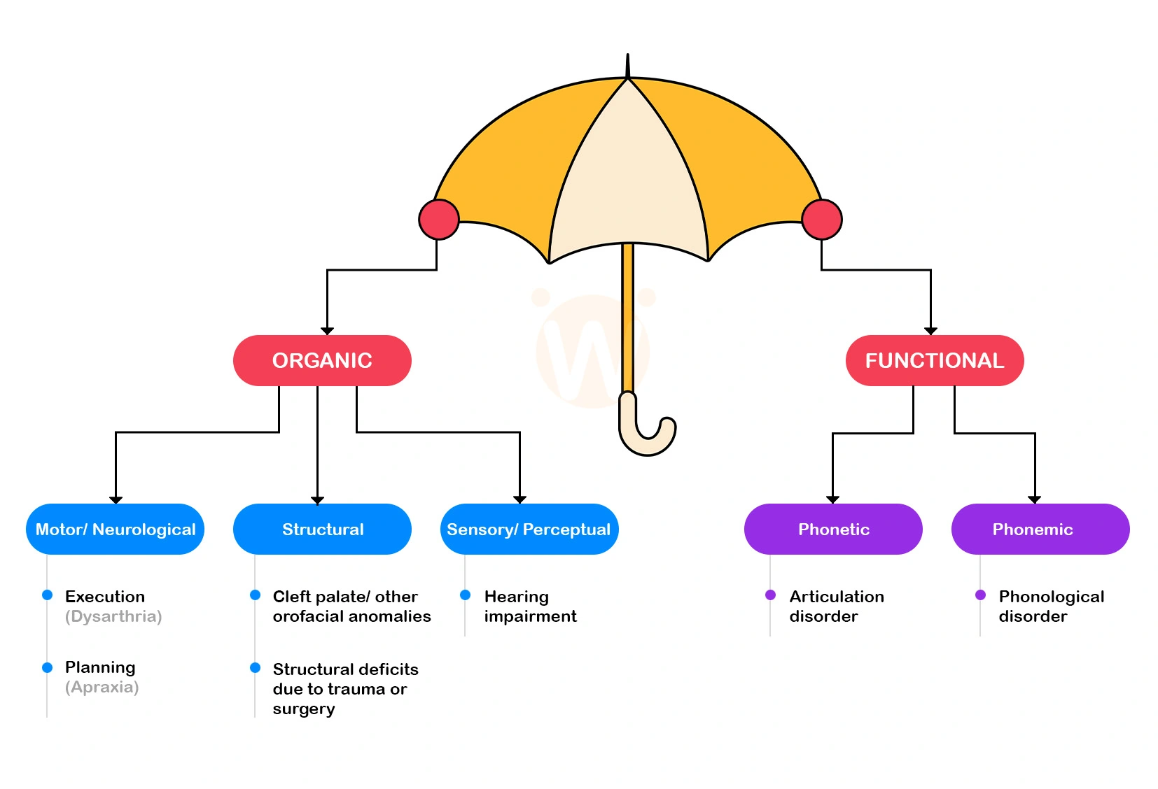 Speech Sound Disorders