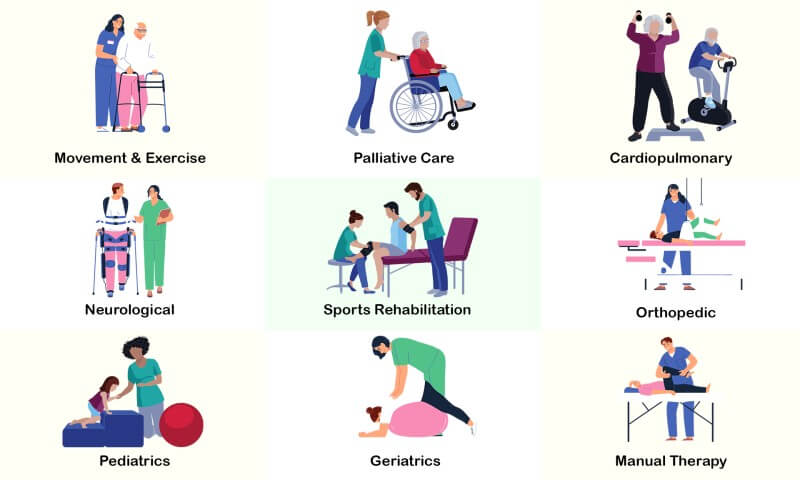 what does physiotherapists do