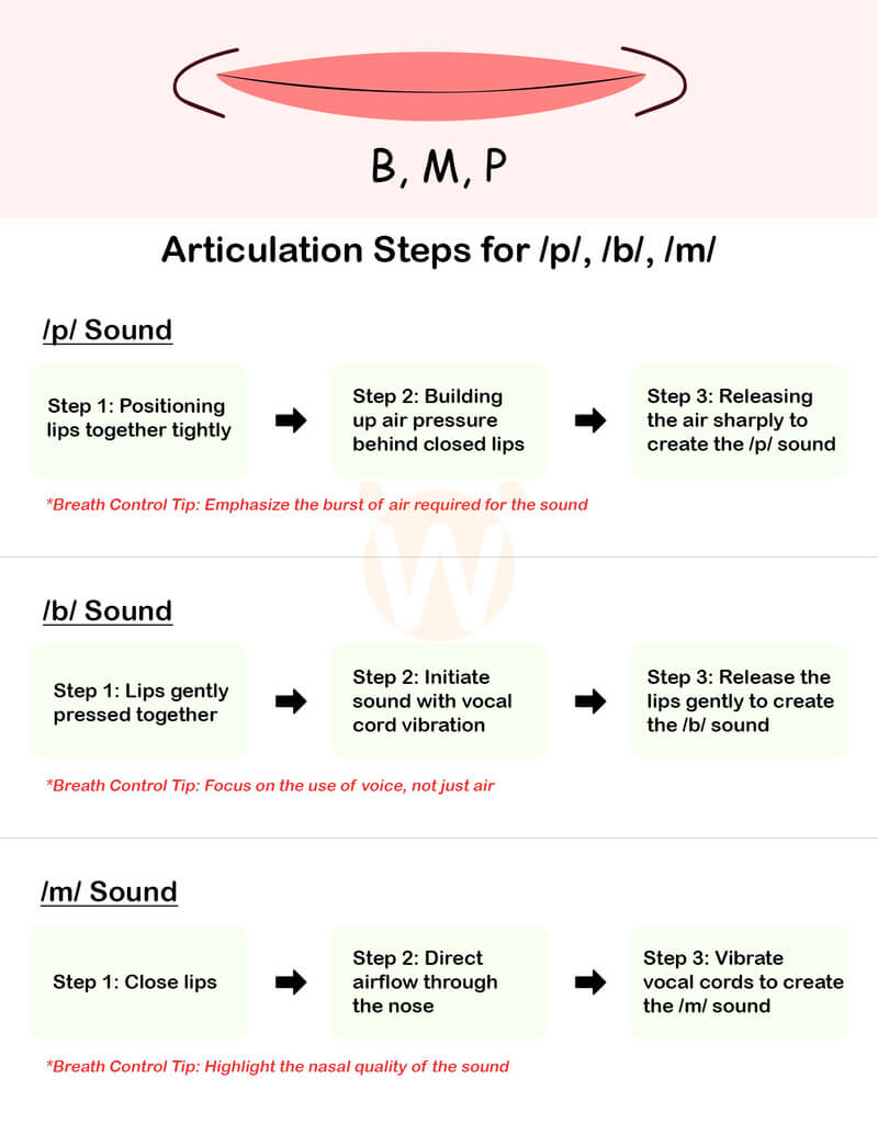 Articulation Steps for /p/, /b/, /m/