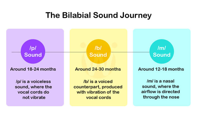 The Bilabial Sound Journey