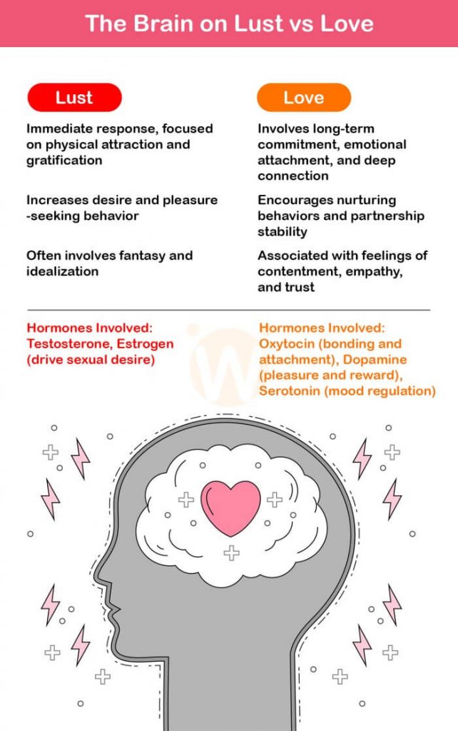 The Brain on Lust vs Love