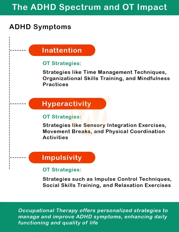 The ADHD Spectrum and OT Impact