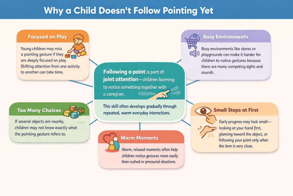 Why a Child Doesn’t Follow Pointing Yet