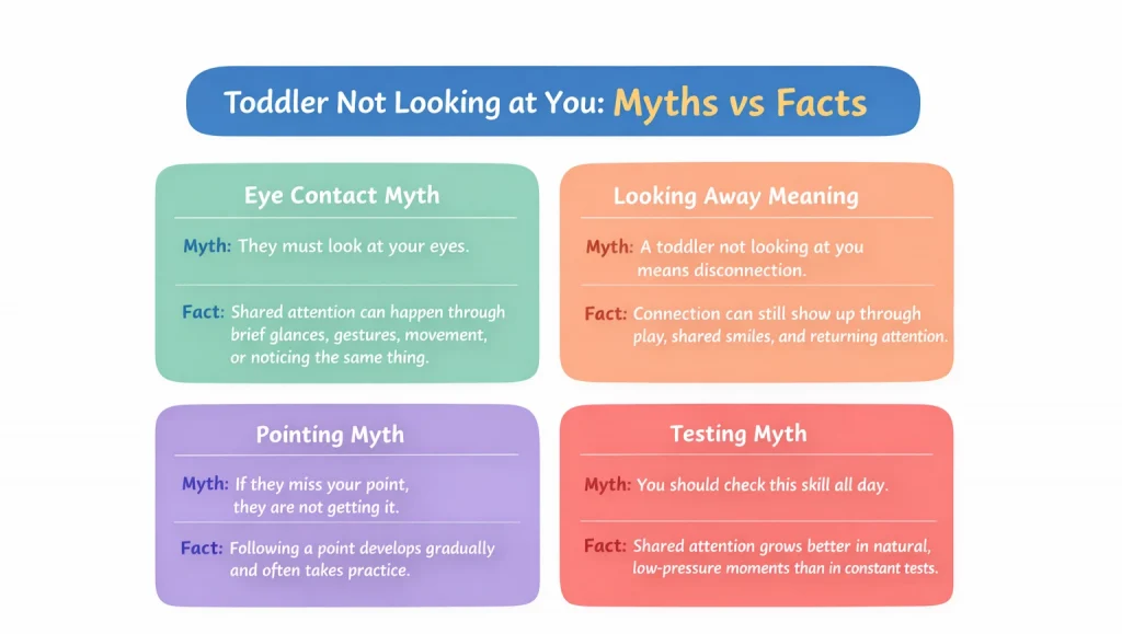 Infographic showing myths and facts behind toddler not looking at you and what shared attention can really look like