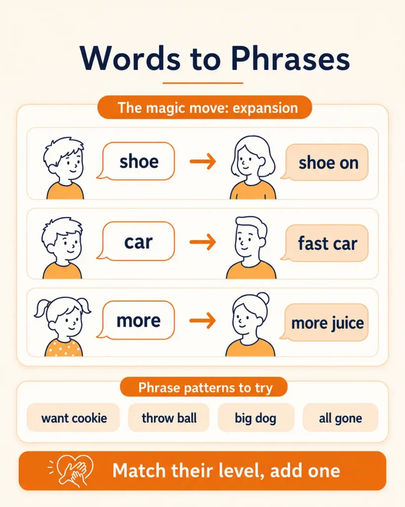 the expansion technique and two-word phrase patterns